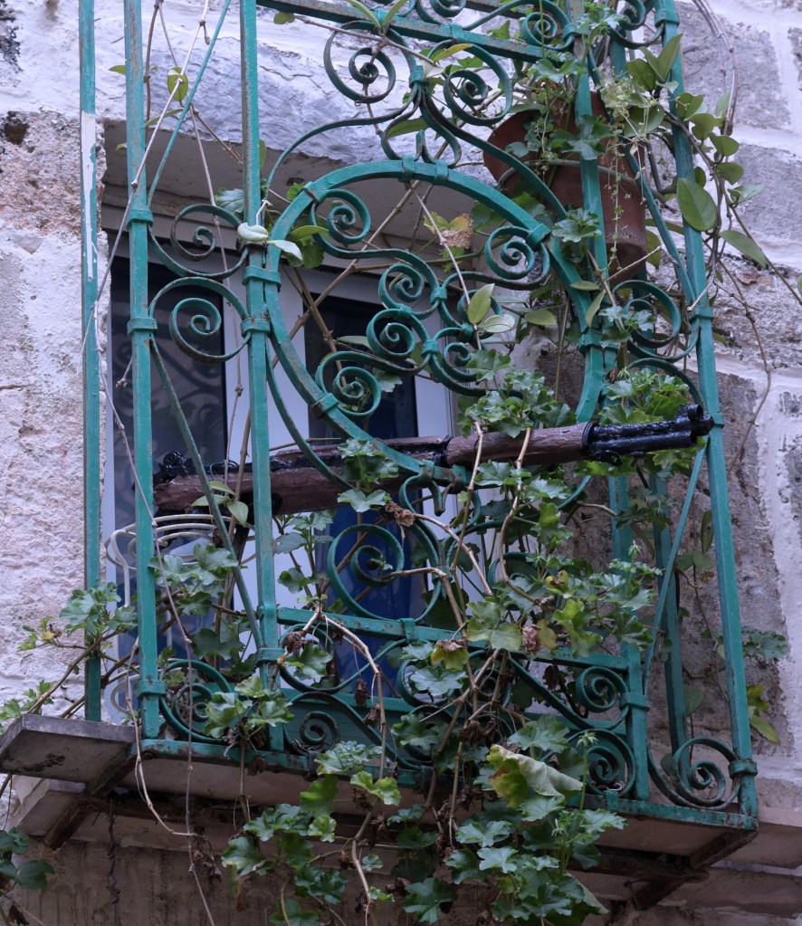 This image has an empty alt attribute; its file name is jewish-quarter-rifle-2.jpg